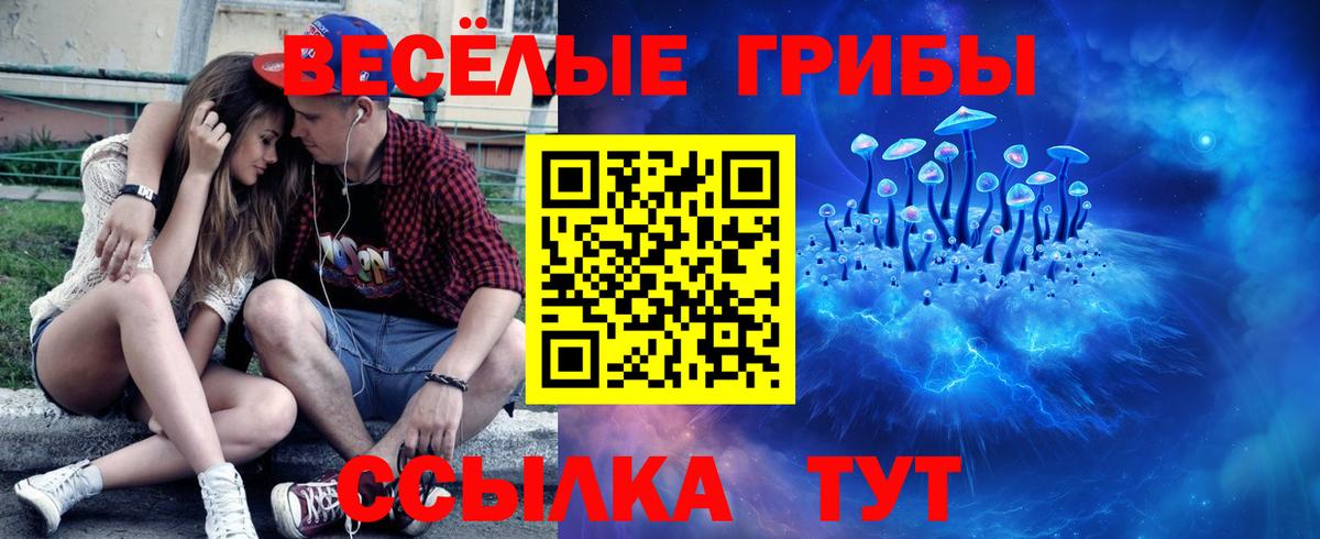 Саяногорск  Псилоцибиновые грибы прущие грибы  Вход с VPN  Галлюциногенные грибы мицелий 
